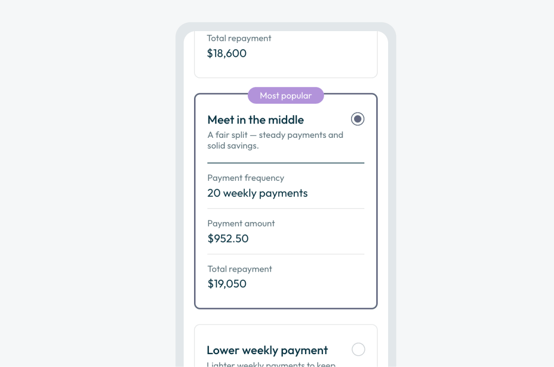 App screen showing payment options and terms.